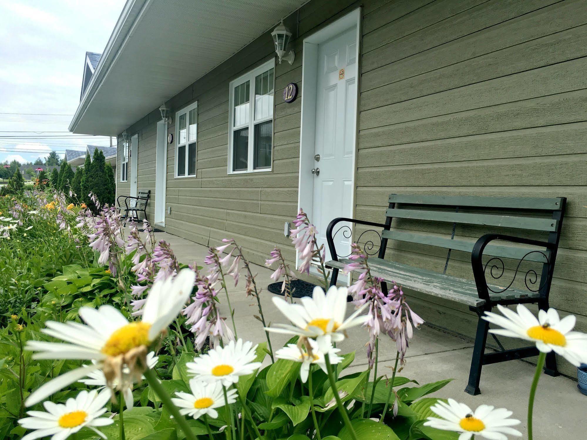 Motel Des Cedres Sherbrooke Eksteriør bilde